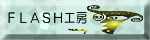 FLASHH[